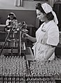 Завод в Петах-Тикве, 1949 год