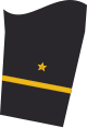 Dienstgradabzeichen eines Leutnants zur See (Truppendienst) auf dem Unterärmel der Jacke des Dienstanzuges für Marineuniformträger