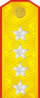 1943年－1955年蘇聯大將肩章