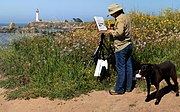 Художник работает на пленэре в ящике Пошаде на маяке Пиджен-Пойнт в Калифорнии.