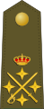 General de ejército  [لغات أخرى]‏ (الجيش الملكي الإسباني)