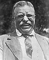 Image 1Theodore Roosevelt (from History of New York (state))