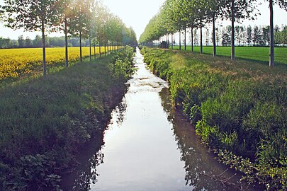 L'Hozain entre Vaudes et Montceaux-lès-Vaudes.