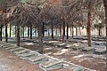 Polski cmentarz – groby