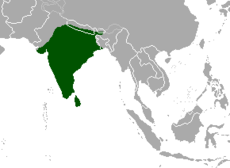 Mapa rozšíření axise indického