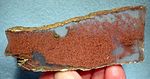Dendrites de cuivre natif encastrées dans du gypse. Mission Mine (comté de Pima, Arizona, États-Unis).