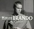 Marlon Brando (3 arvî 1924-1° lûggio 2004), into Julius Caesar, 1953