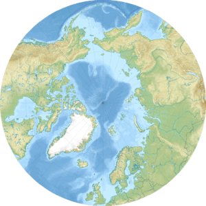 黄河站在北极的位置