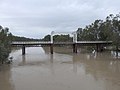 Old North Bourke bridge, in flood, southern side, North Bourke (2021)
