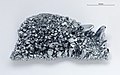 Osmium-Kristalle, ≈99,99 %