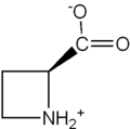 아제티딘-2-카복실산의 구조