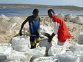Dječaci na berbi soli u Africi