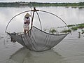 予め敷設して引き上げる敷網漁業の四手網。