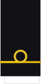 Guardiamarina (Argentine Navy)[1]