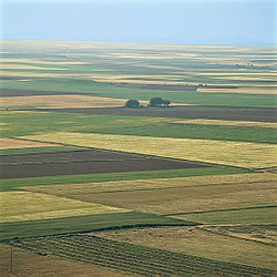 Cultivated fields in northern Valladolid Province