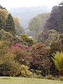 View down the valley