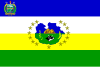 پرچم {{{name}}} State