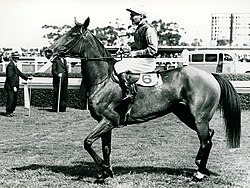 Flight, 1944 winner