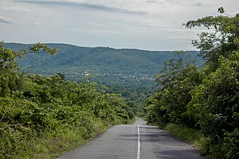 Hill forest near Ikogosi