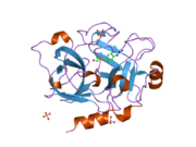 1zmn: Crystal Structure of the Catalytic Domain of Coagulation Factor XI in Complex with (R)-1-(4-(4-(hydroxymethyl)-1,3,2-dioxaborolan-2-yl)phenyl)guanidine