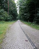 Sett-paved tank trail in Germany