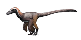 Pyroraptor olympius