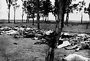 צילום של נרצחים ארמניים ,מתוך זכרונות השגריר האמריקני באימפריה העות'מאנית.