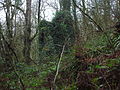 The Craig Mill ruins from below Linn Spout. This mill was associated with Kilwinning Abbey, together with Garnock and Sevenacres mills.[17]