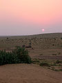 Il deserto del Thar in India