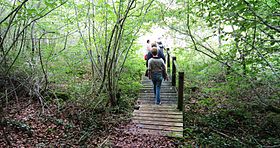 Image illustrative de l’article Forêt de Châtillon-sur-Seine