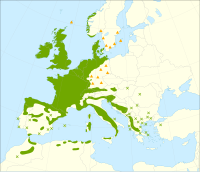 Área de distribución do acivro en Europa e o norte de África.
