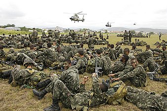 Infantería aeromóvil.