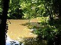 Douze (rivière) dans le parc Jean Rameau