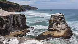 Muriwai Beach