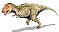 Tyrannosaurus rex, jedan od najvećih kopnenih grabežljivaca svih vremena, živio je tijekom kasne krede.