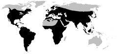 Distribuição da família Bufonidae (em preto)