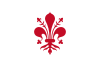 Flag of ဖလော်ရင့်မြို့