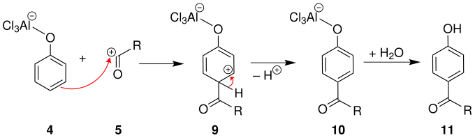 Mechanismus 3 der Fries-Umlagerung