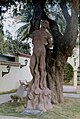 Denkmal für Hatuey in Yara, vor einem Tamarindenbaum