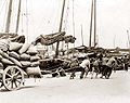 1890年香港島的貨運工人