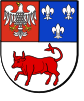 Coat of arms of Turek County