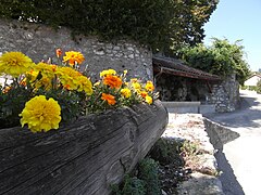 Vieux lavoir des Côtes.