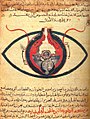 Image 6The eye according to Hunayn ibn Ishaq, c. 1200 (from Science in the medieval Islamic world)