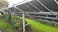 Coltivazione di pomodori sotto impianto fotovoltaico basso in Austria