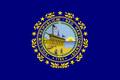 Bandiera del New Hampshire (1909-1931)