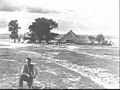 Old picture of farm and sheep pen