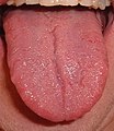 tongue /tʌŋ/