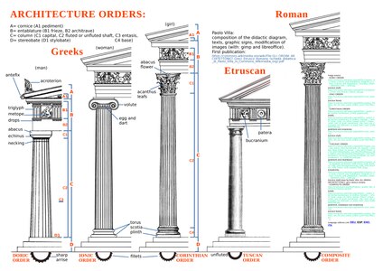 Compared Ionic order with Doric, Tuscan, Corinthian and Composite orders; with stereobate