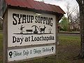 The famous Syrup Sopping sign as seen from Alabama State Route 14