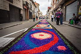 Alfombra floral del Corpus